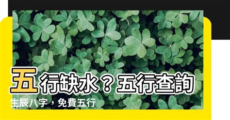 11月屬什麼|生辰八字查詢，生辰八字五行查詢，五行屬性查詢